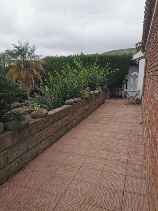 Los Cactus Санта-Крус-де-Тенеріфе Екстер'єр фото